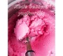 Stijn de Kock Plantaardig IJsplezier - ijs en sorbets (e-book)